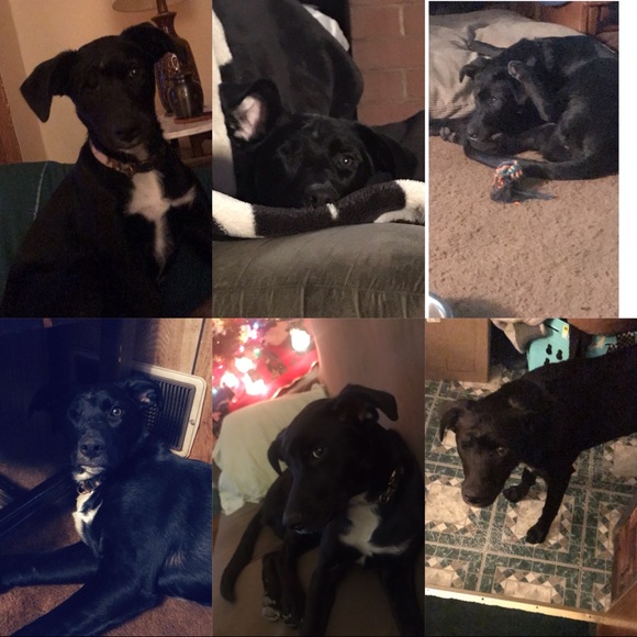 Helping my baby🐾💞 - Picture 4 of 8